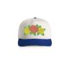 Class Two-Tone Cap Thumbnail